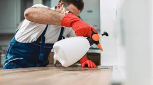 Best Real Estate Pest Inspections  in Johnson City, TX